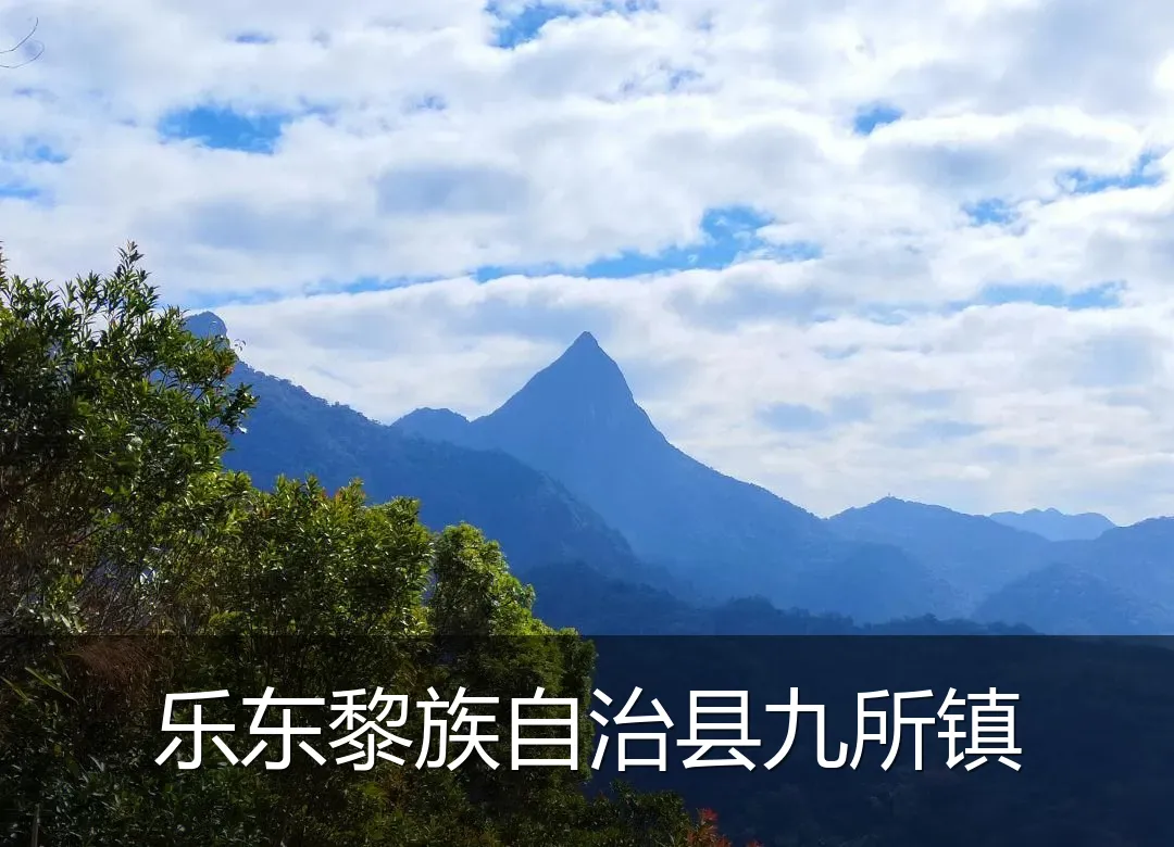 乐东黎族自治县九所镇